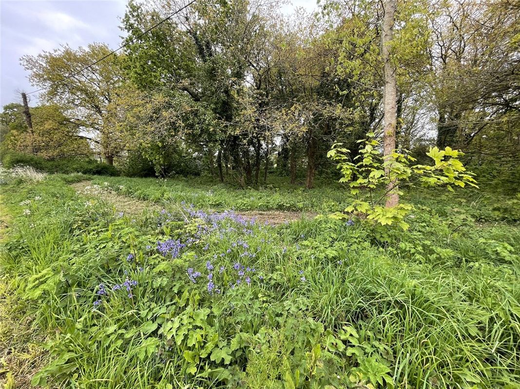 1.5 acres Land, Fawley, SO45 - Sold