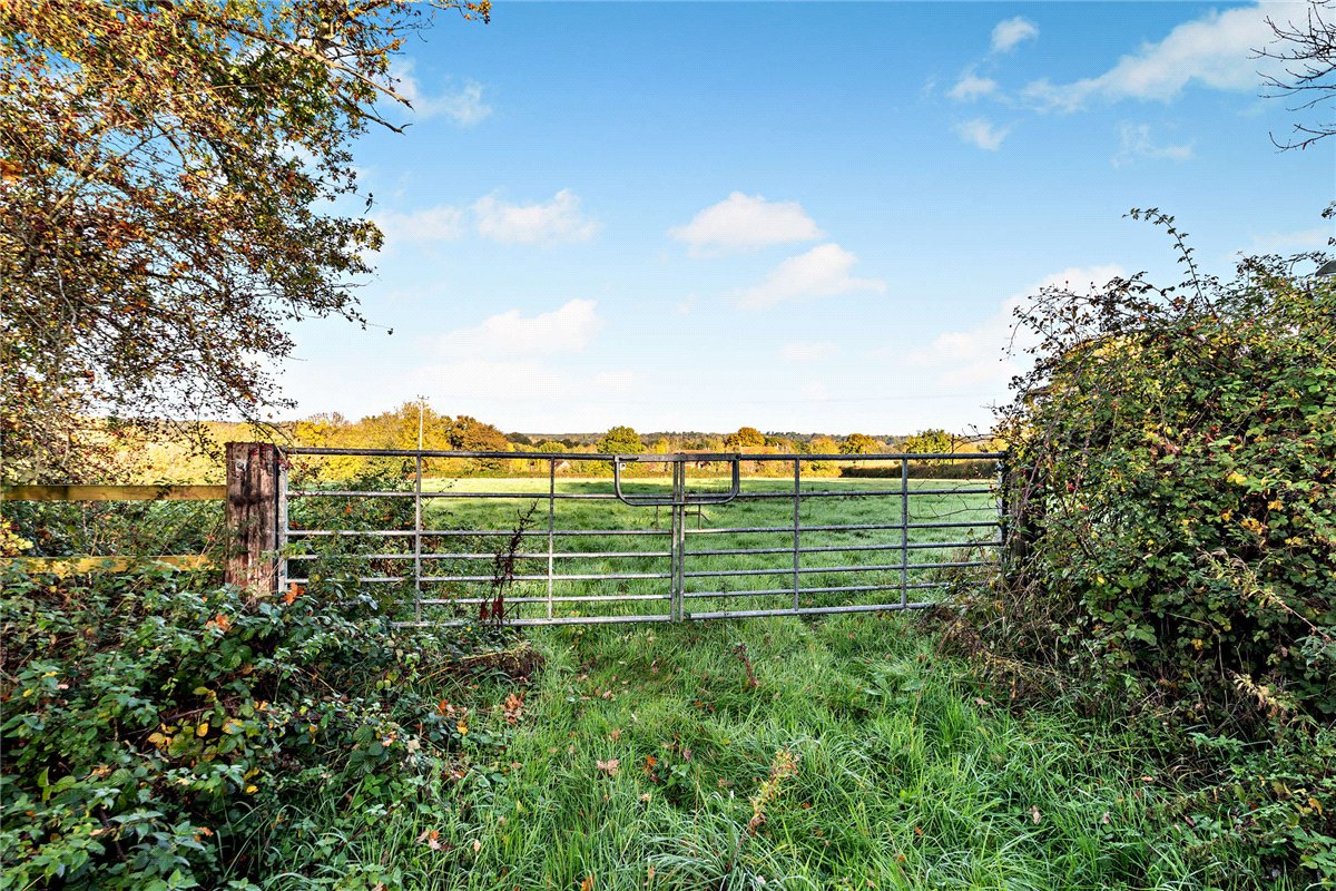8.4 acres Land, Newbury, Berkshire RG14 - Available