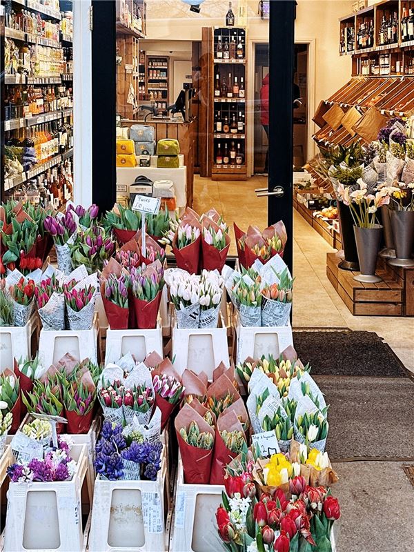 3 bedroom house, London Square Wandsworth Common, Springfield Drive SW17 - Available