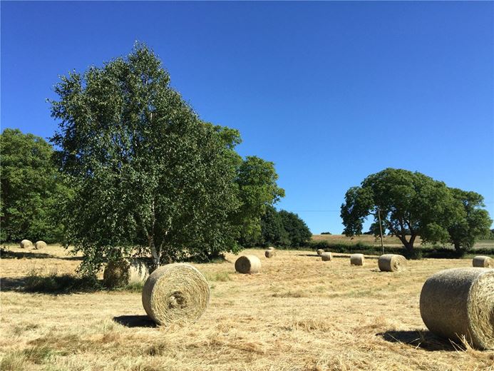 9 bedroom house, Cleatham, Gainsborough DN21 - Available