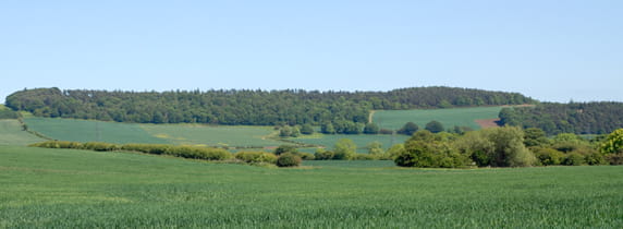 Farm in Cleveland